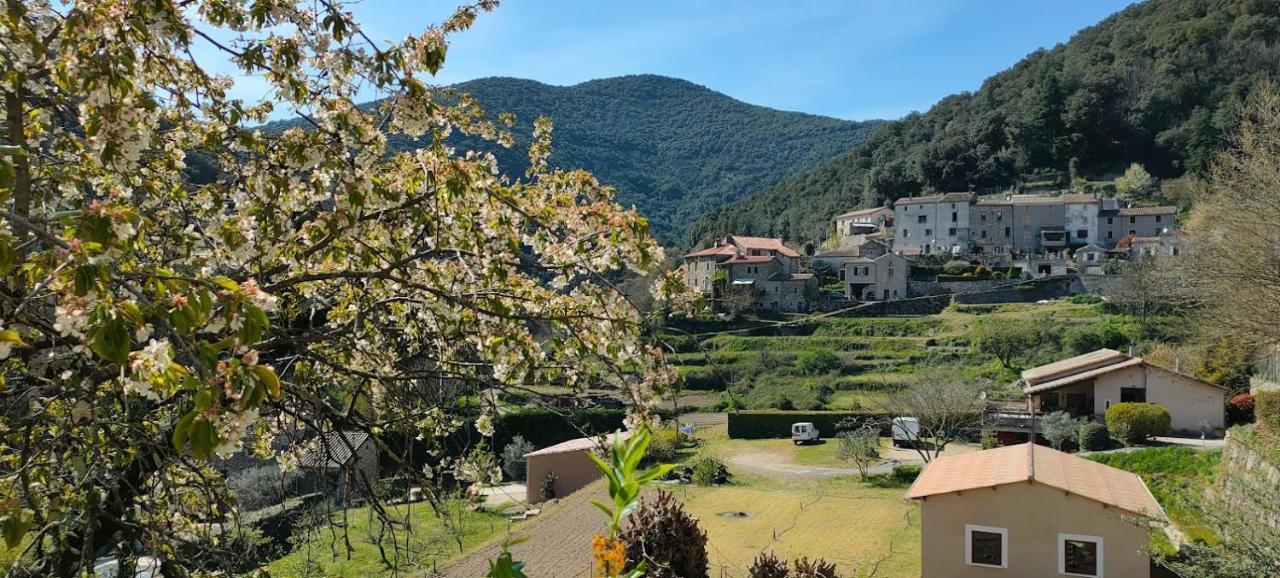 Maisonette En Cevennes Notre-Dame-de-la-Rouvière Eksteriør bilde